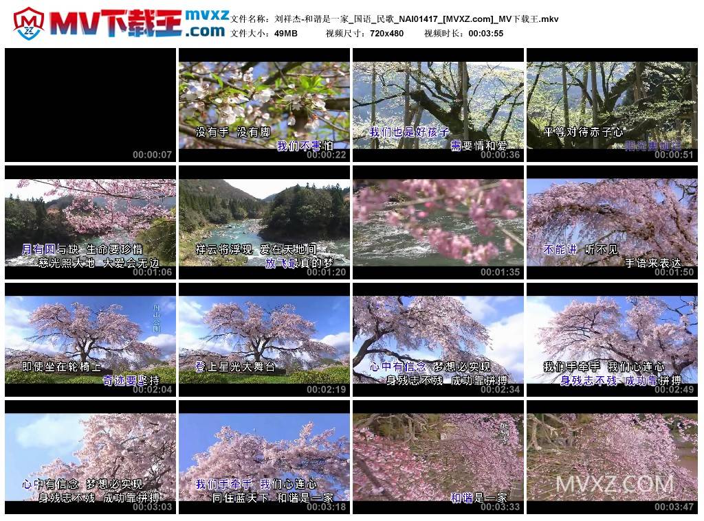 刘祥杰-和谐是一家_国语_民歌_NAI01417